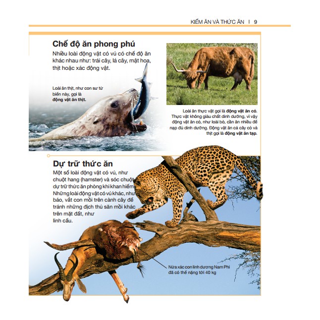 Sách - Bách khoa thiếu nhi động vật có vú (bìa cứng) Tặng Kèm Bookmark