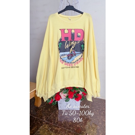 Áo Sweater-hoodie kiểu