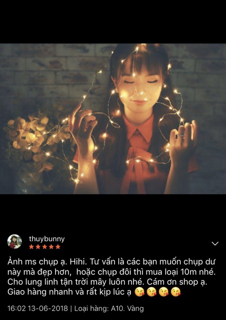 [Pin tiểu AA hoặc USB] Đèn led fairy light đèn đom đóm tiện dụng màu vàng, trắng dài 2m 5m 10m đèn trang trí 5 mét AA