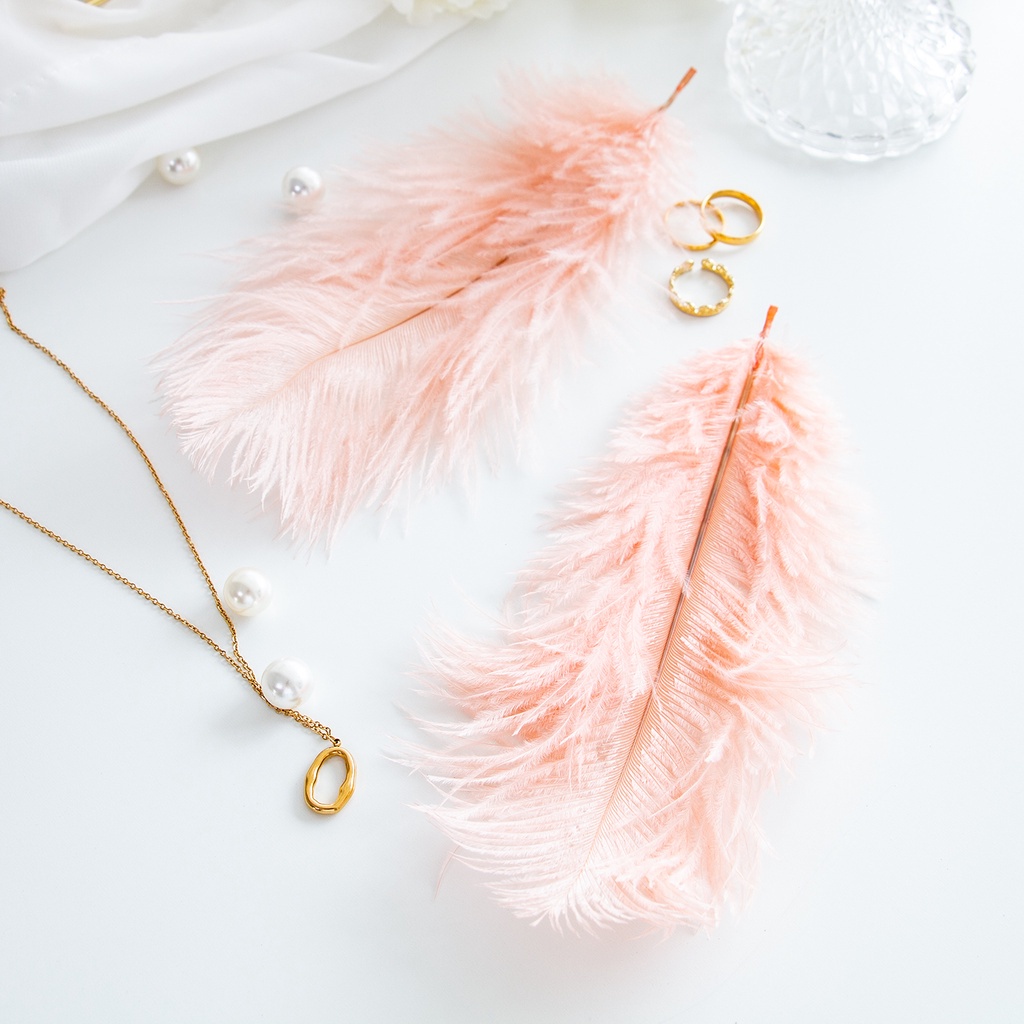 Lông đà điểu dùng trang trí chụp ảnh siêu đẹp tùy chọn số lượng