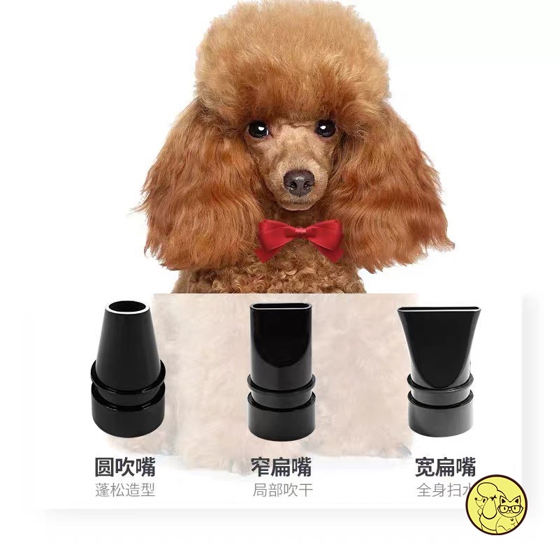 MÁY SẤY THÚ CƯNG (CÔNG SUẤT 2200W) - (CHUNZHOU BS-2400)