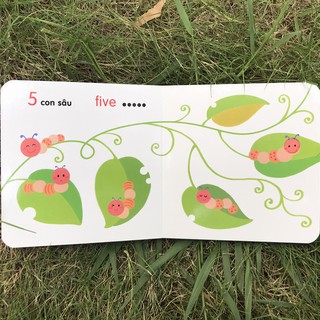 Ô Cửa Diệu Kì - Số Đếm