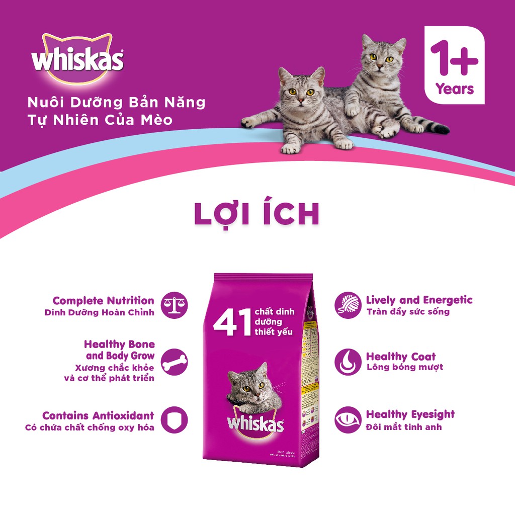 Bộ thức ăn dạng hạt dành cho mèo con Whiskas vị cá biển 1.1kg + 6 túi pate cho mèo con Whiskas vị cá thu 85g/túi