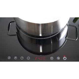 Bếp từ Lorca TA-1006C