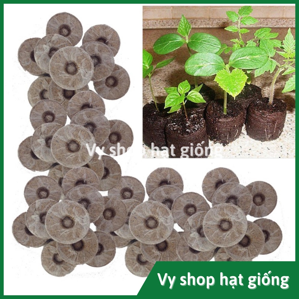 Set 10 viên nén xơ dừa ươm hạt giống