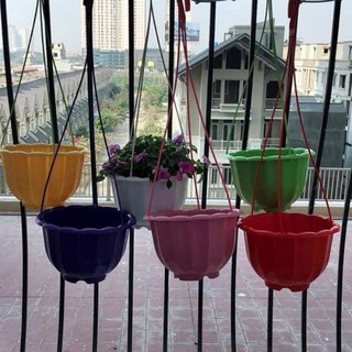 Chậu Treo Bông Bí Đủ Màu ( Nhựa 21x15cm)