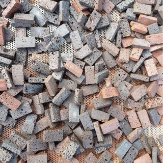 Giá thể Nham Thạch xẻ gắn cây và rêu 1 miếng 2x4
