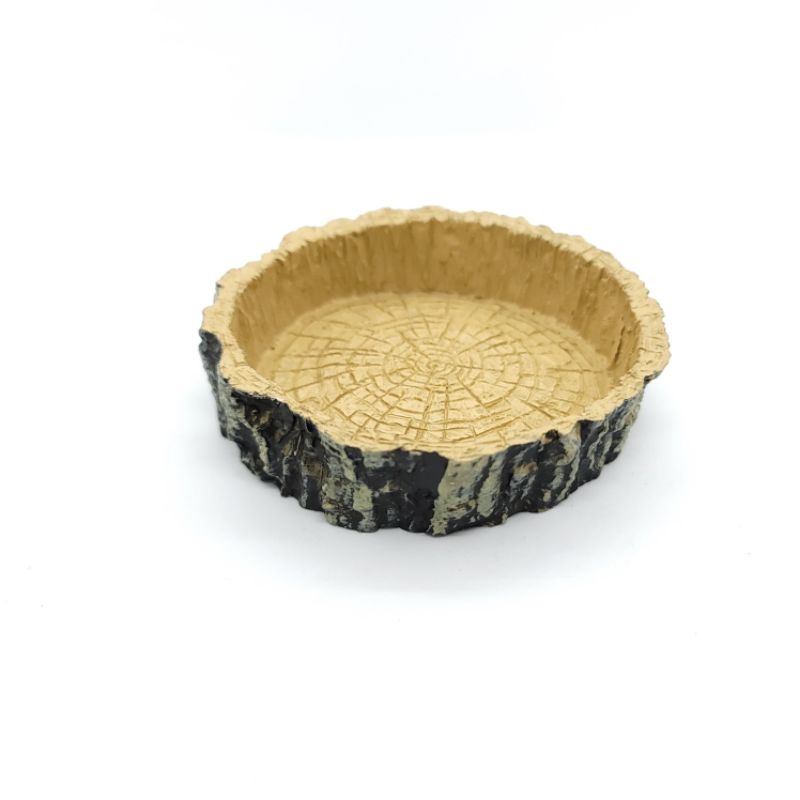 Chén ăn, uống cho rùa và bò sát