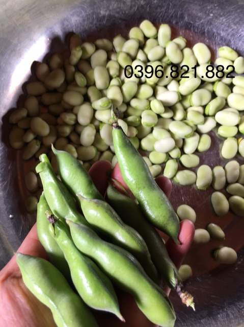 Đậu răng ngựa  rang muối ớt 350g