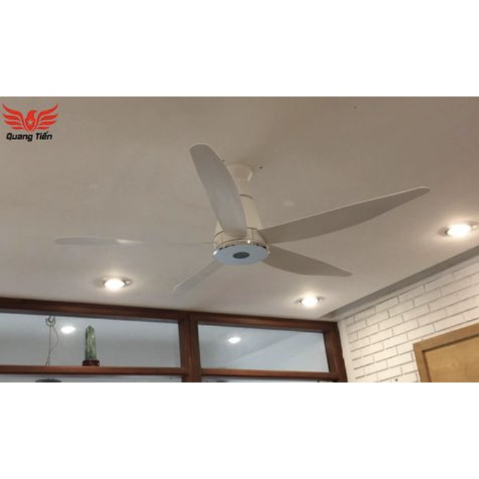 Quạt trần 5 cánh Panasonic DC F-60XDN màu trắng (220V)