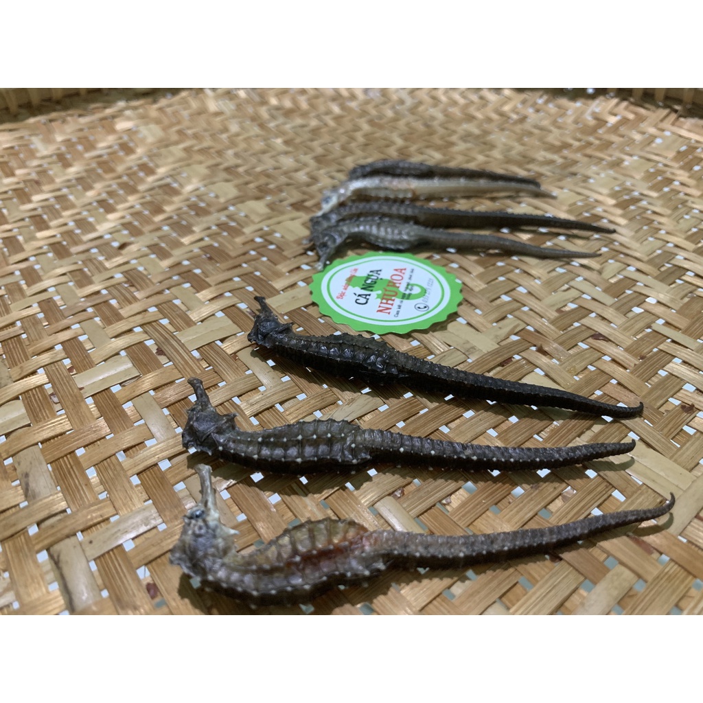 Cá ngựa khô 8-9 cm (1 con)