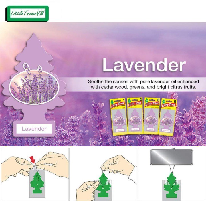 COMBO 5 CÂY THÔNG THƠM LITTLE TREES - Lavender