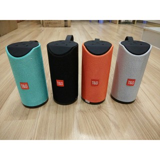 Loa Bluetooth TG-113
