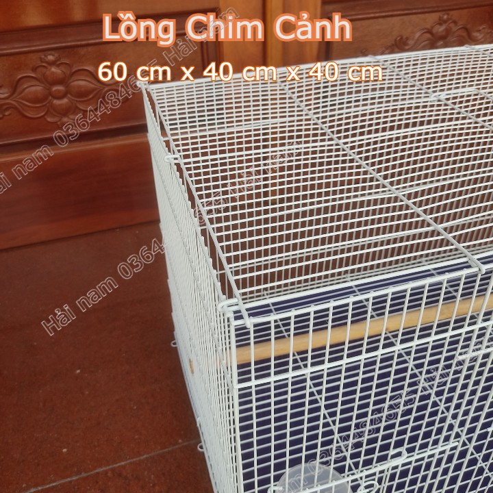 Lồng nuôi chim nhỏ - Lồng nuôi Yến Phụng, Vẹt, Sóc size 60x40x40cm Màu Trắng