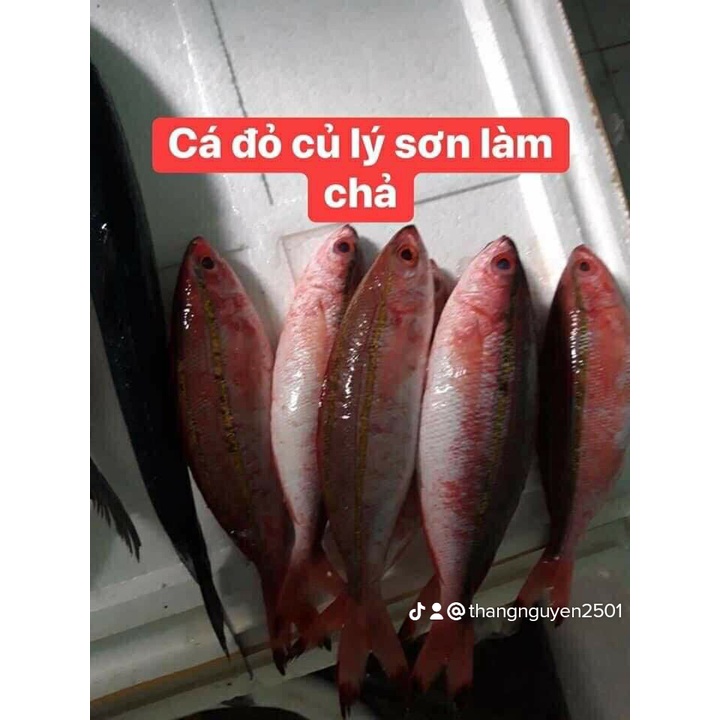 Chả cá đỏ củ Lý Sơn # Đặc sản Quảng Ngãi # Bao ngon # Cam kết đúng hàng Lý Sơn