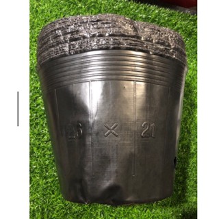 30 TÚI BẦU TRỒNG CÂY HOA ,CÂY CẢNH,CÂY ĂN QUẢ...(26x21cm)