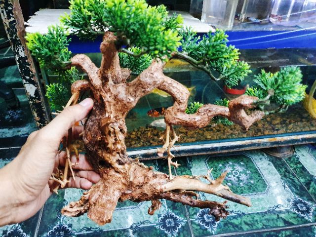 CÂY LỦA BONSAI KHÔ TRANG TRÍ HỒ CÁ NON BỘ 30x13x20cm