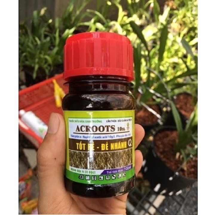Phân bón lá ACROOTS 10SL - Tốt rễ đẻ nhánh cực mạnh lọ 100ml