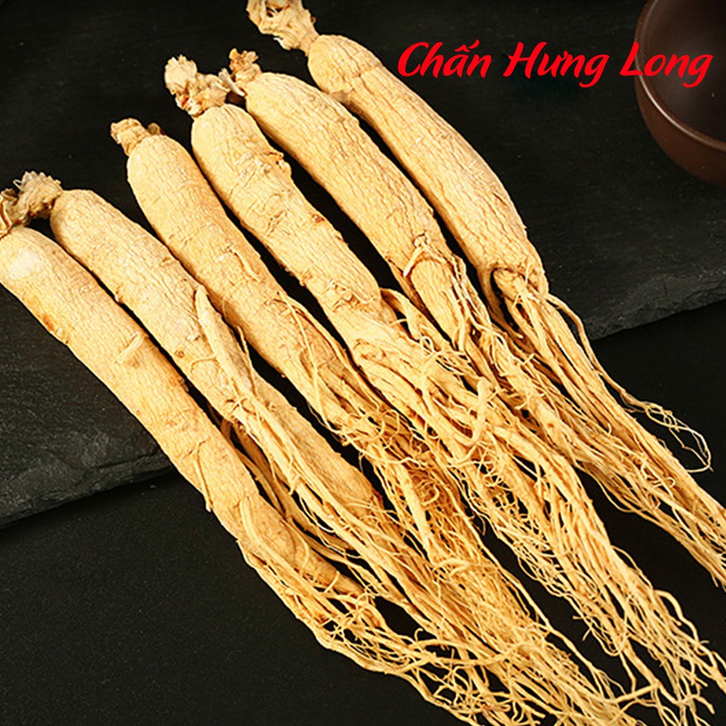 NHÂN SÂM - CÁT LÂM SÂM 100g - ĐẠI BỔ NGUYÊN KHÍ, NÂNG CAO SỨC ĐỀ KHÁNG, CHỐNG LÃO HÓA - NHÀ THUỐC CHẤN HƯNG LONG