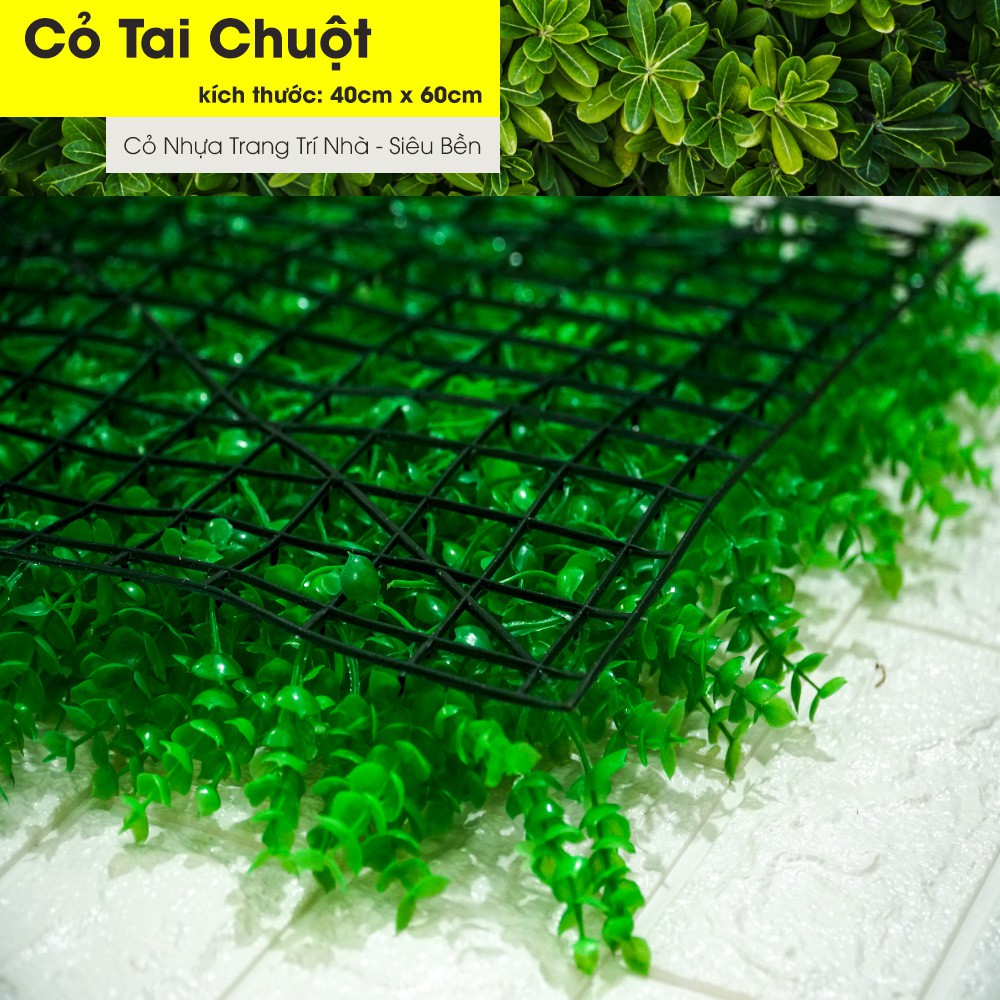 Cỏ nhựa treo tường, tấm cỏ nhựa tai chuột trang trí kích thước 40cm x 60cm