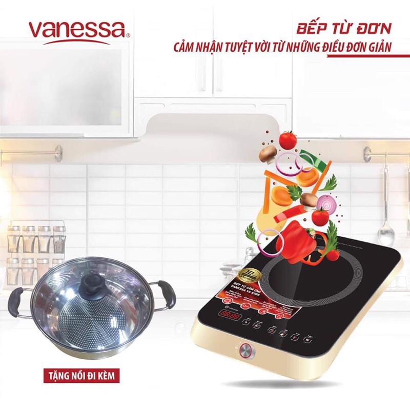 Bếp từ đơn cao cấp Vanessa 6398