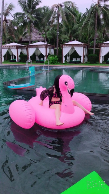 Phao Bơi Thiên Nga Hồng 192cm Khổng Lồ Người Lớn Kèm Bơm + Phao Mini