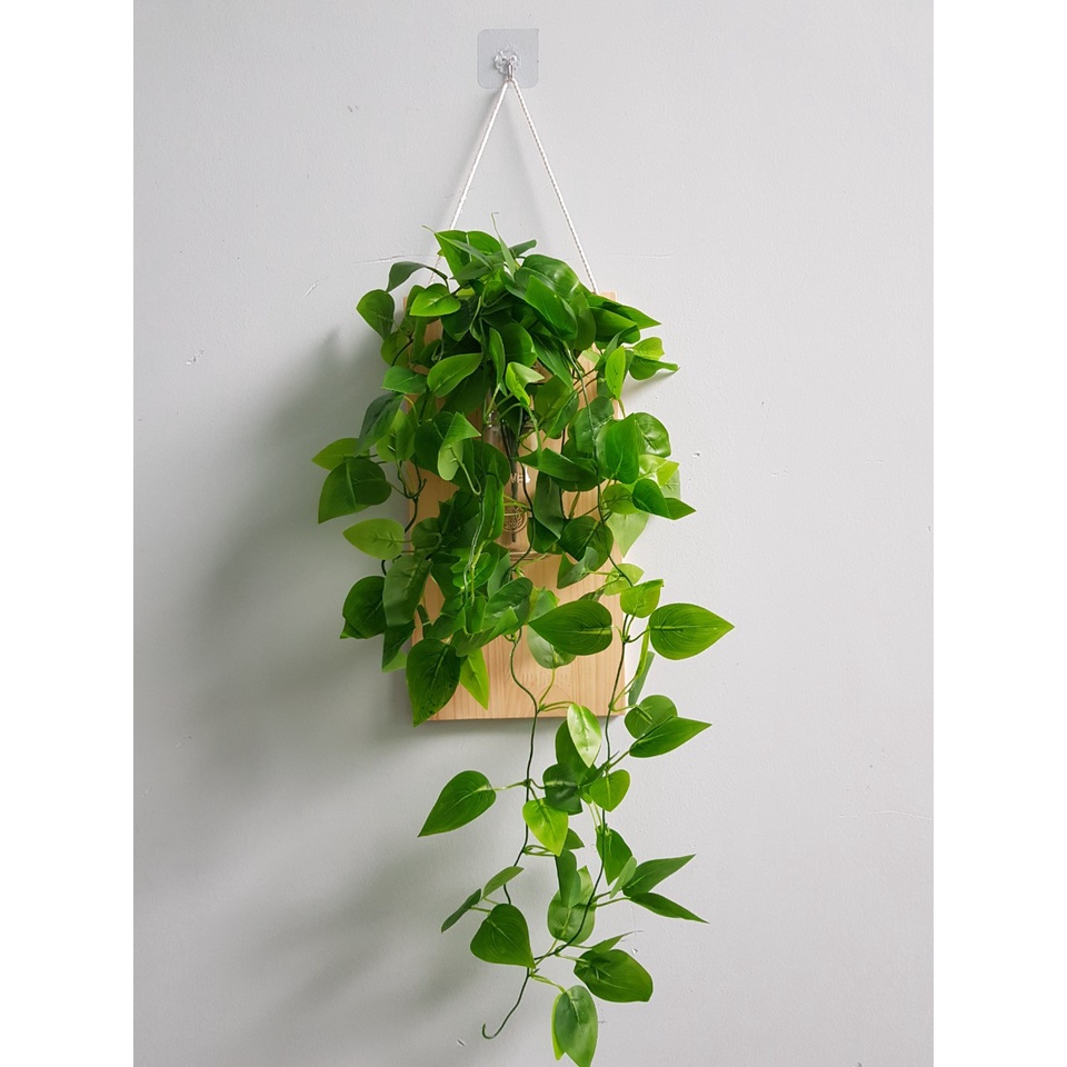 Khung Gỗ Treo Tường 15x30cm có khoan lỗ treo Bình Thuỷ Tinh Cắm Hoa, Cây Thuỷ Sinh - Kệ Gỗ Cắm Hoa Mẫu Mới