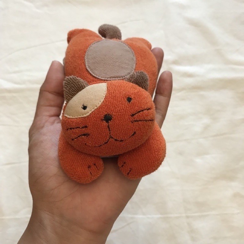 Mèo nhỏ cầm tay Hikosen Cara