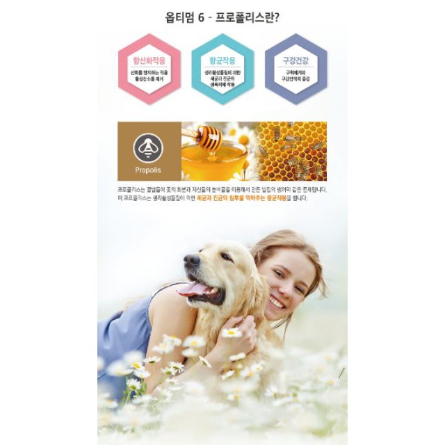 Dog Mania 5kg