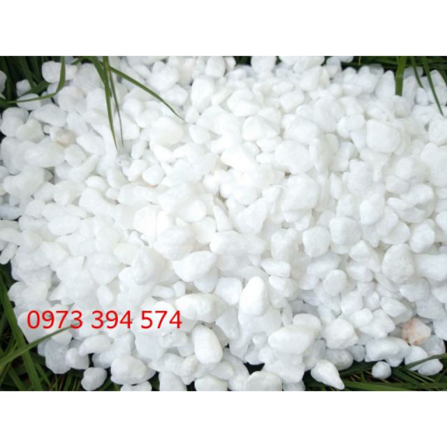 Đá Rải Chậu Cây, Bể Cá, Trang trí tiểu cảnh-100g đá Trắng Nhỏ 0.5cm[FREESHIP] .