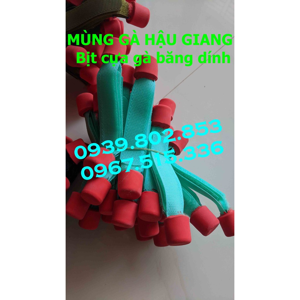 Bịt cựa gà giá sỉ