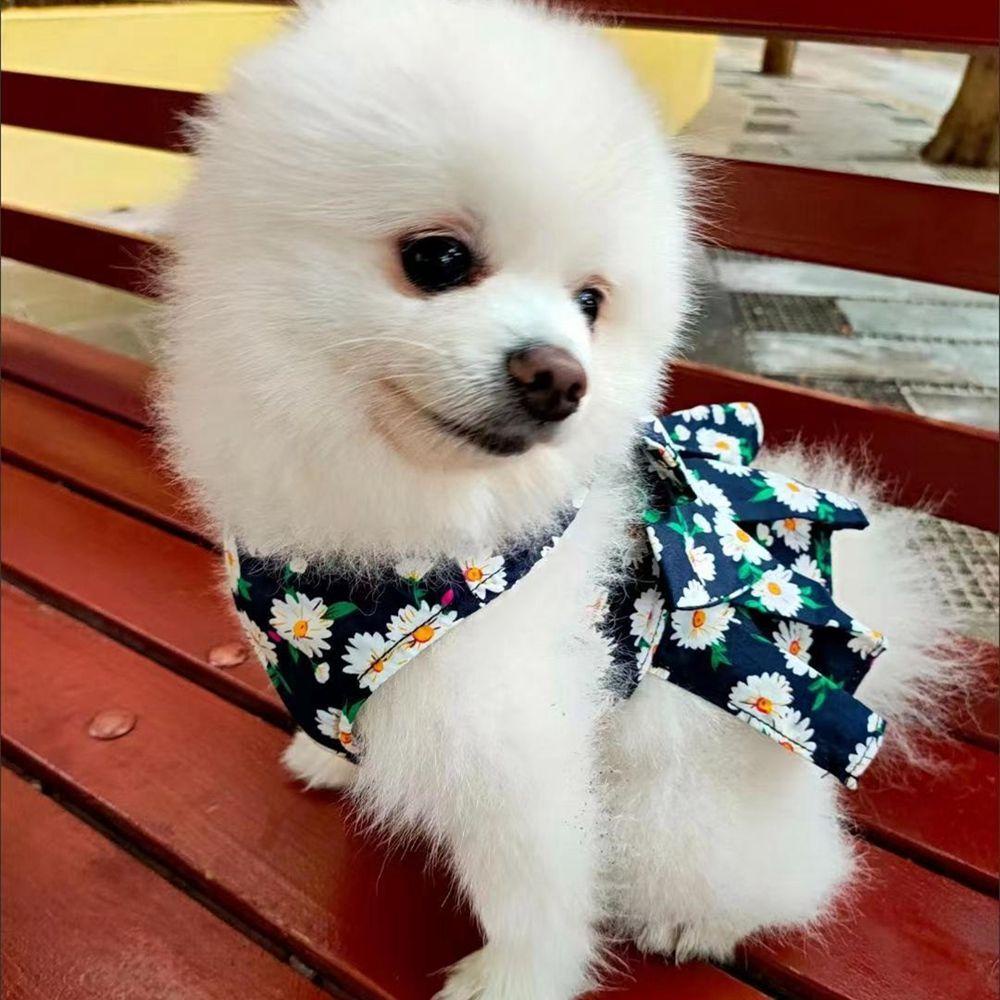 [COD] 1 Vòng Đeo Cổ Họa Tiết Hoa / Kẻ Ô / Nơ Kèm Dây Dắt Thú Cưng Đi Dạo