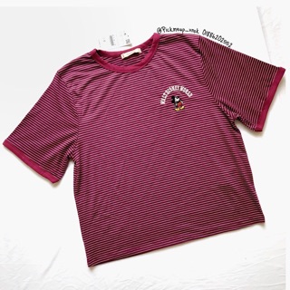 Áo thun Pull & Bear xịn xuất dư