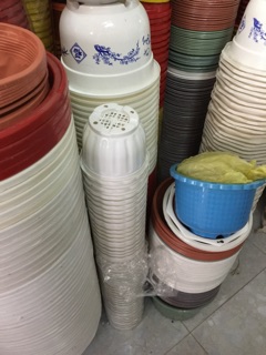 sỉ chậu treo hoa gấm