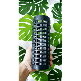 Cột leo cho cây trầu bà