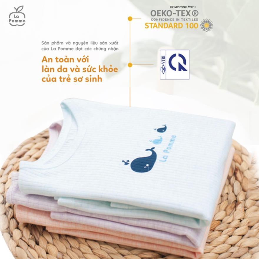 SL015 Bộ dài tay La Pomme Raglan nhám dính kẻ