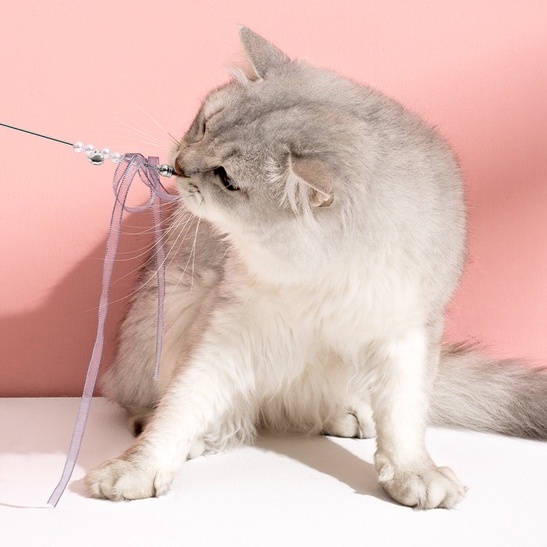 Đồ chơi cho mèo cần câu mèo cây vờn mèo giảm stress tăng vận động