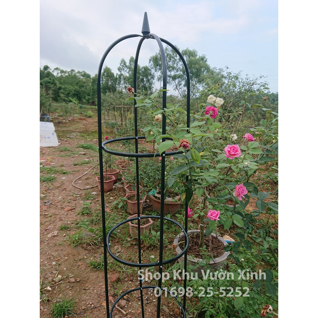 Khung tháp leo hoa hồng - khung trụ cho hoa leo
