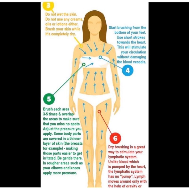 Bàn chải khô/ Cọ chà lưng