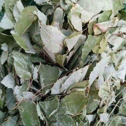 COMBO- Cường dương, đại bổ