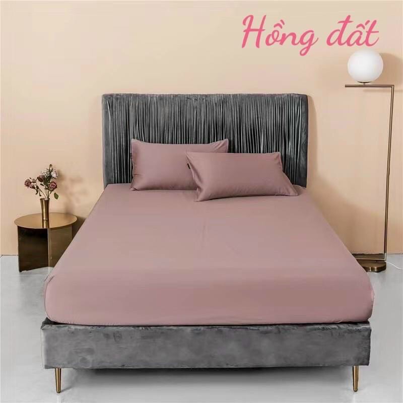 ❤️ Bộ Ga Gối ❤️ Hommy Bedding trơn màu chất liệu vải cotton cao cấp