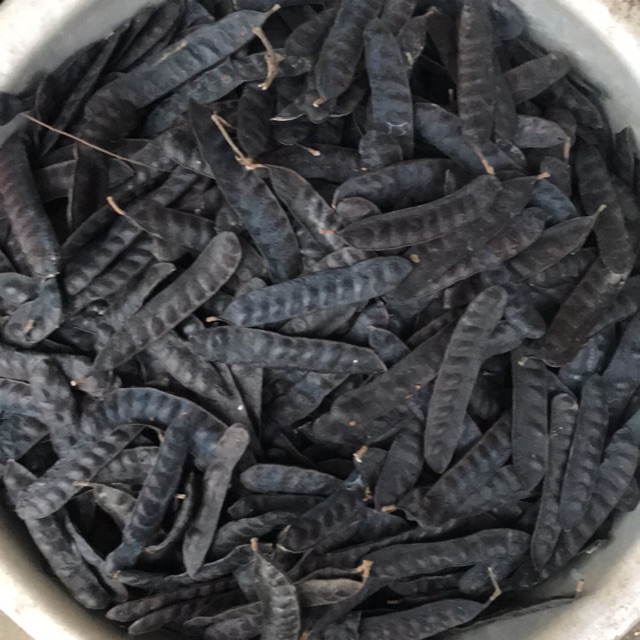 Quả bồ kết 5 lạng