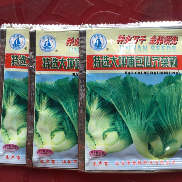 10g HẠT GIỐNG CẢI BẸ ĐẠI BÌNH PHỔ F1