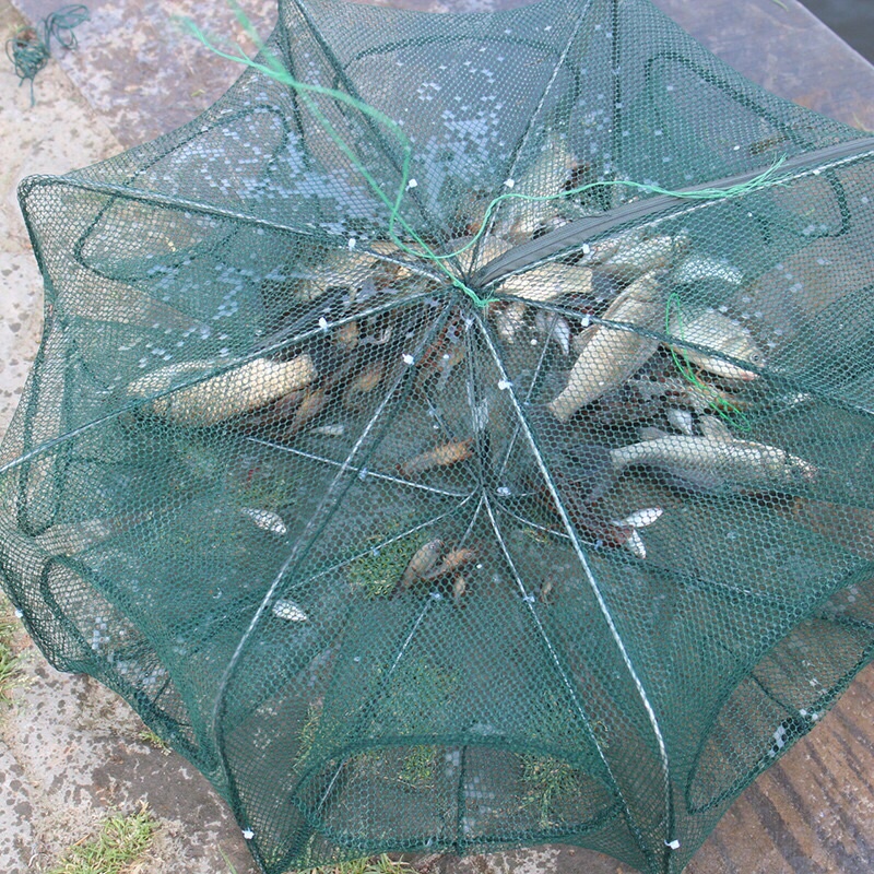 LỒNG BÁT GIÁC