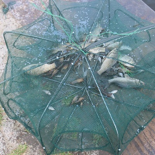 Lồng bát giác