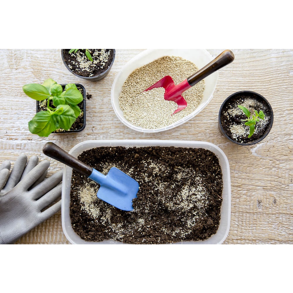 VERMICUITE -  giá thể ươm trồng rau mầm, trộn các loại giá thể khác