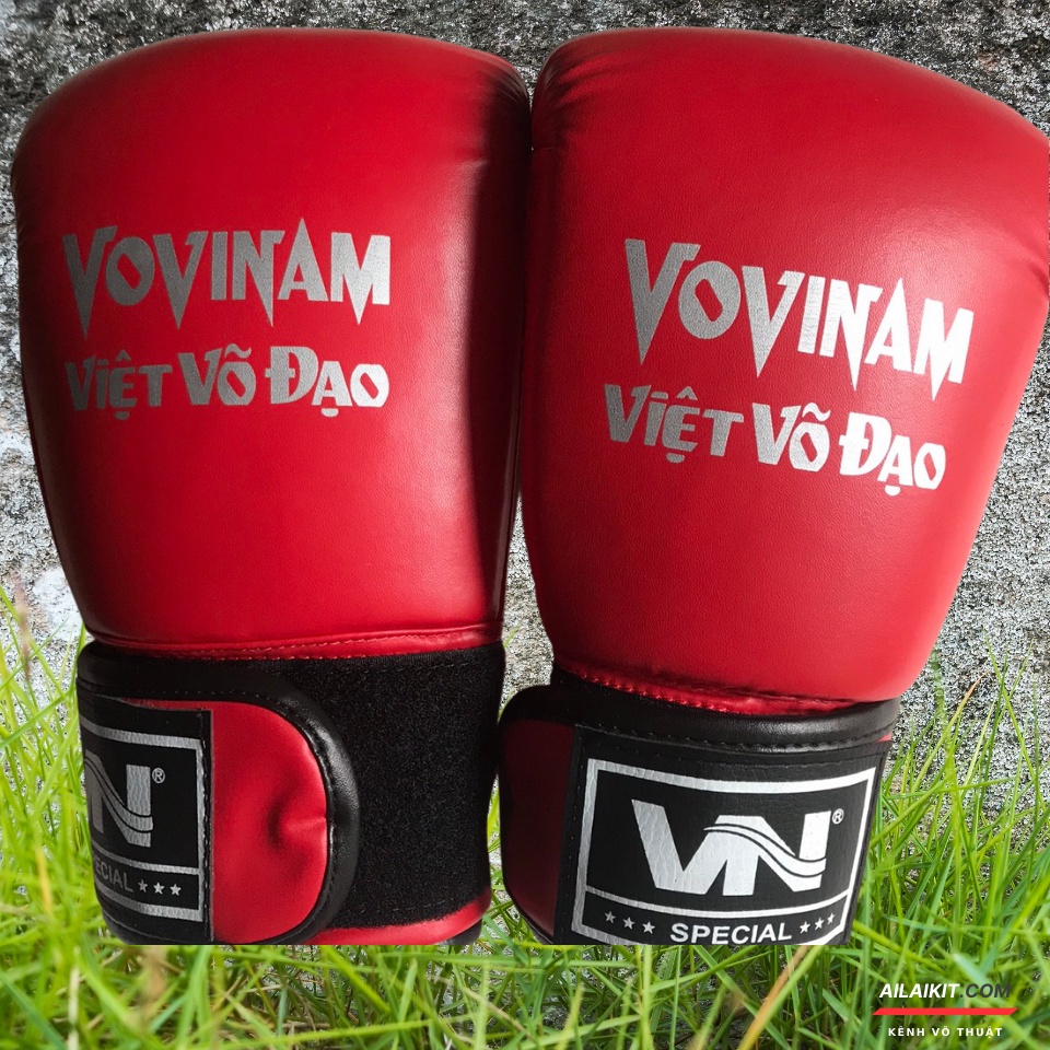 Găng Vovinam Boxing Ruột Đúc ️🥊 Vovinam Cổ Truyền, Muay, Kickboxing Aitilait