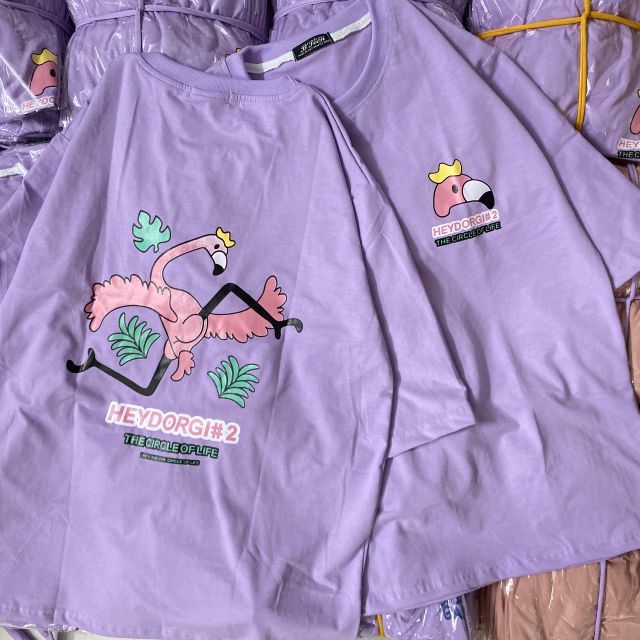 Hình thật 100 Áo thun tay lỡ Unisex HEYDORGI