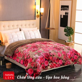 Chăn lông cừu Yuki Nhật Bản cap cấp
