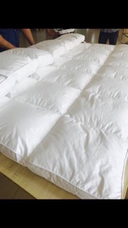 Tấm lót mền đệm 5 sao